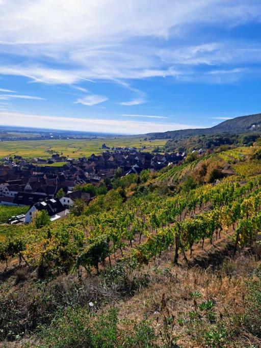 Entre Vignes Et Vergers Gite Parenthese Gueberschwihr Exterior foto